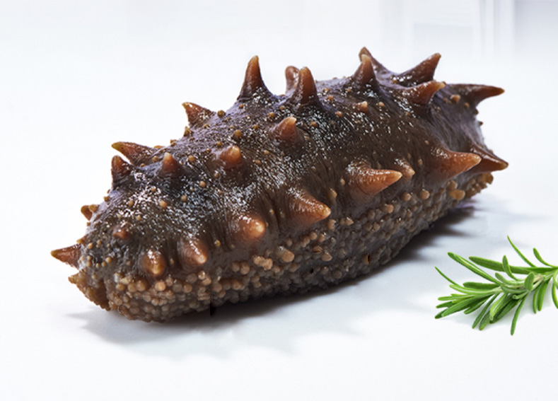 参小妹鲜食海参